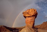 Petrified Forest NP
