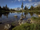 Yosemite Np